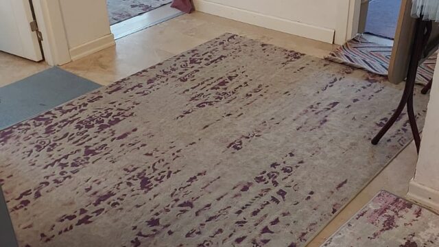 WhatsApp Image 2025-02-03 at 10.34.25 AM